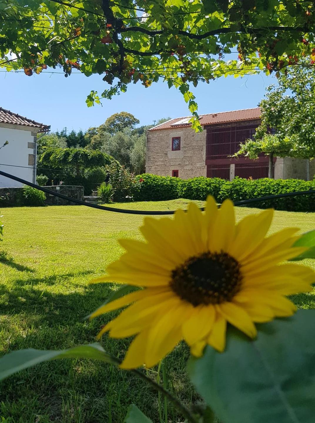 Casas Da Quinta Da Cancela Balugães Kültér fotó